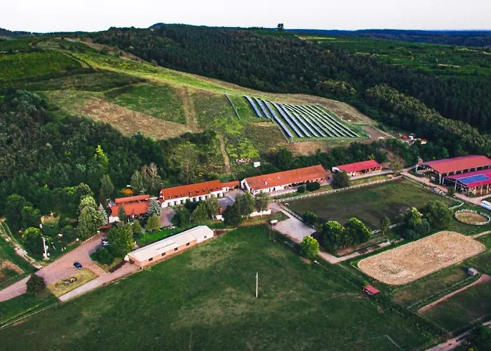 Bed & Breakfast Mátyus Udvarház Kengyel 3*