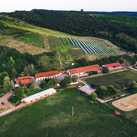 Nocleg ze śniadaniem Matyus Udvarhaz Kengyel Fogado 2*