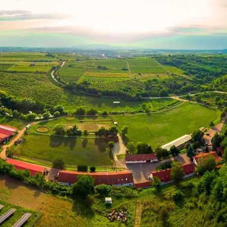 Bed & Breakfast Matyus Udvarhaz Kengyel Fogado
