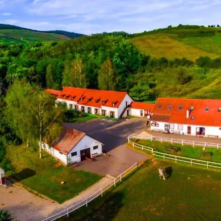 Matyus Udvarhaz Kengyel Fogado 2* Erlau
